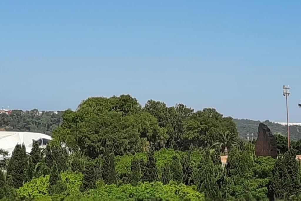 Hassan Tower And The Marina Come To You Rabat Exterior photo